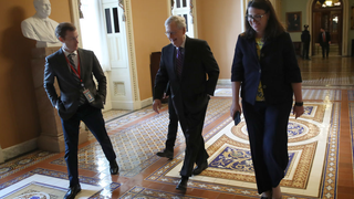 Mitch McConnell's Slow and Steady Pace Avoids Run-in with Furloughed Government Employees